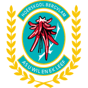 Hoërskool Bergvlam is a member of the National Debating League.